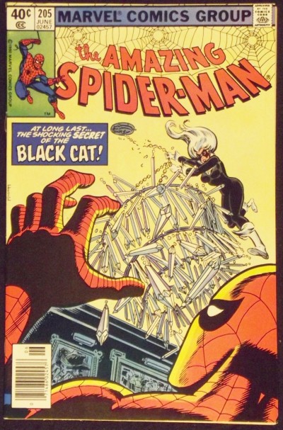 AMAZING SPIDER-MAN #205 VF/NM 4TH APPEARANCE BLACK CAT