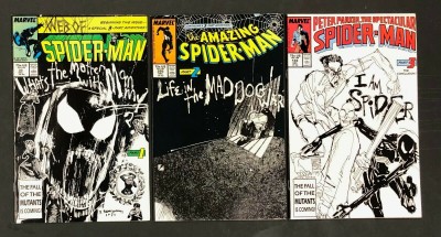 Life in the Mad Dog Ward (1987) Web 33 Amazing 295 Spectacular Spider-Man 133