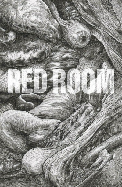 Red Room: The Antisocial Network (2021) #2 NM 1:5 Variant Ed Pisko Fantagraphics