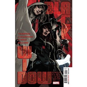 Black Widow (2020) #12 NM Adam Hughes Cover