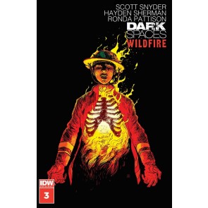 Dark Spaces: Wildfire (2022) #3 VF/NM Scott Snyder IDW