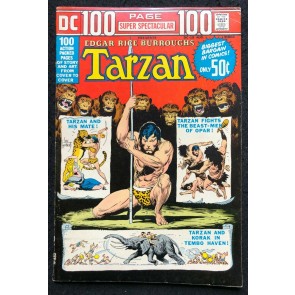 DC 100 Page Super Spectacular (1973) #19 Featuring Tarzan FN+ (6.5) DC-19