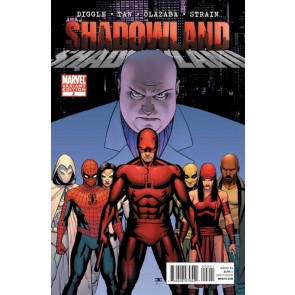 Shadowland (2010) #2 of 5 NM John Cassaday Variant Cover Daredevil Red Costume