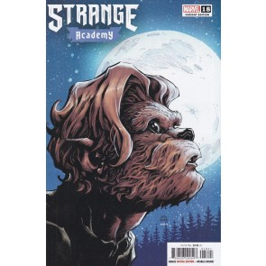 Strange Academy (2020) #18 NM Ryan Stegman Howie Character Spotlight Variant